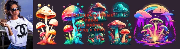 метадон Белокуриха