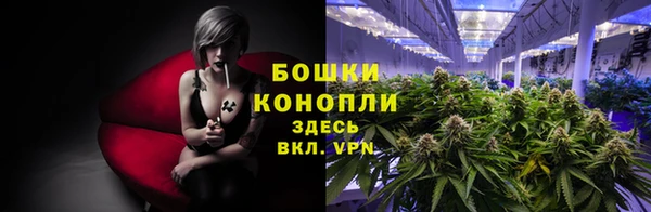метадон Белокуриха
