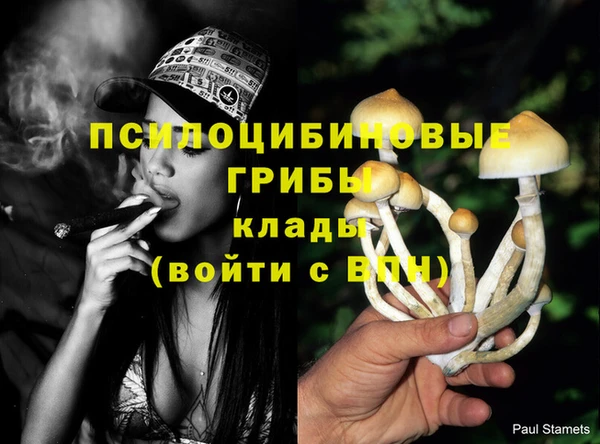 герыч Оленегорск