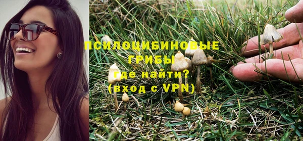 метадон Белокуриха